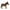 Hansa Little Donkey 11.3in. high