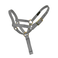 Silver Halter with Handle