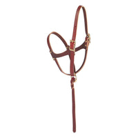 Leather Halter for Nordic Reindeer