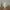 Real Life Nativity Set 11 pc. 14in. scale