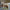 Real Life Larger Donkey, Ox, Sitting and Standing Camels 14in. scale