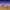Small Real Life Donkey, Ox, Sitting and Standing Camels 10in. scale