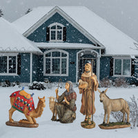 2D Real Life Shepherds, Camel and Donkey 48 inch scale