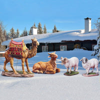 2D Real Life Camel Ox and Sheep 48 inch scale
