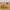 Small Real Life Donkey, Ox, Sitting and Standing Camels 10in. scale