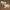 Resting and Standing Lambs - Fiberglass (22in.W) 54in. scale