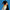 Realistic Plush Emperior Penguin 29in. H