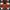 Life Size Nutcracker  6 ft H