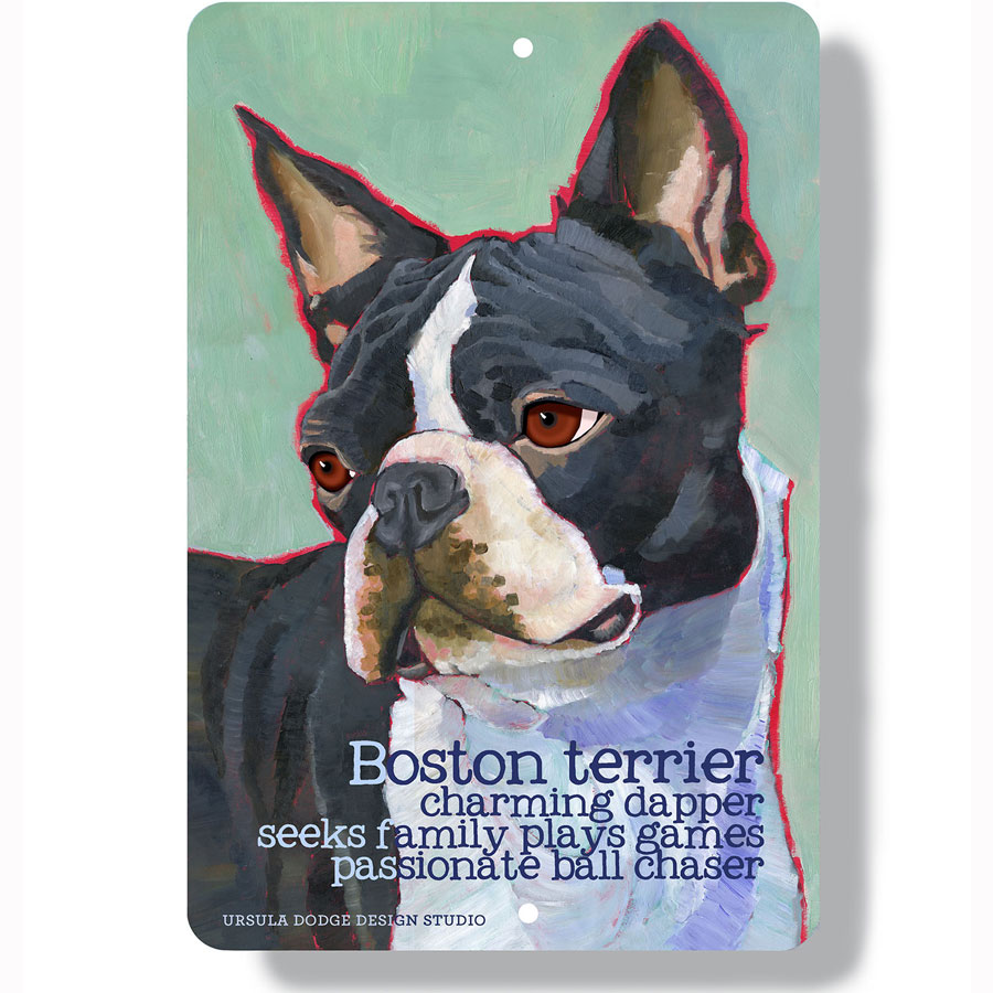 Boston Terrier dog metal sign 12 in H