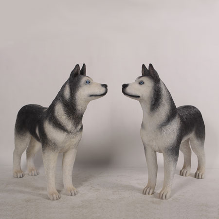 Husky Statue Looking Right - 36in H - Made by Heinimex