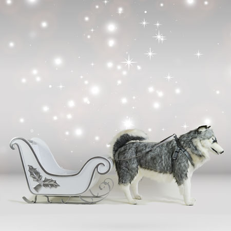 Hansa Husky Dog, Gray Life Size 46L - Endeavour Toys